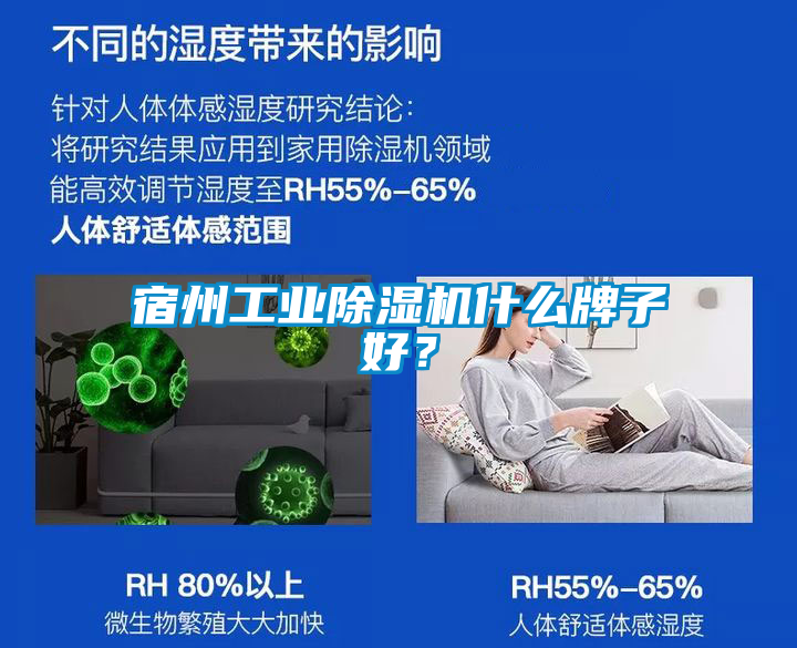 宿州星空娱乐彩票是什么网站什么牌子好？