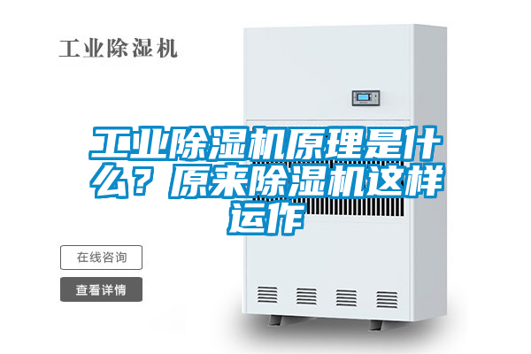 星空娱乐彩票是什么网站原理是什么？原来除湿机这样运作