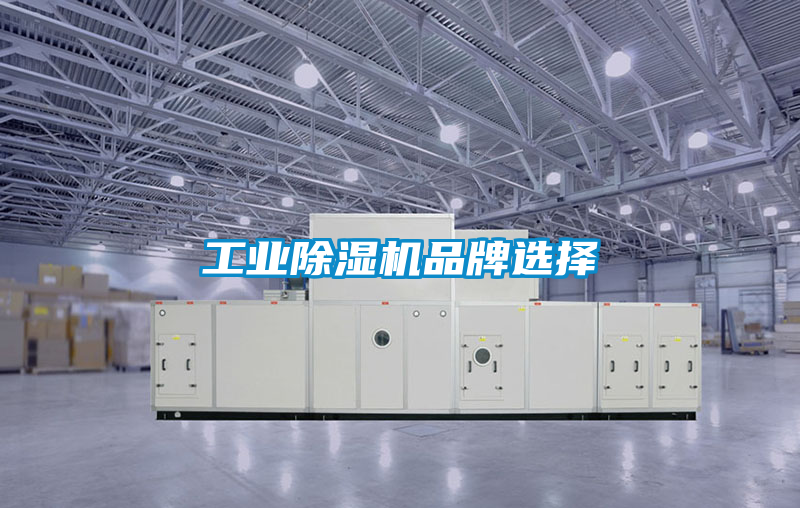 星空娱乐彩票是什么网站品牌选择