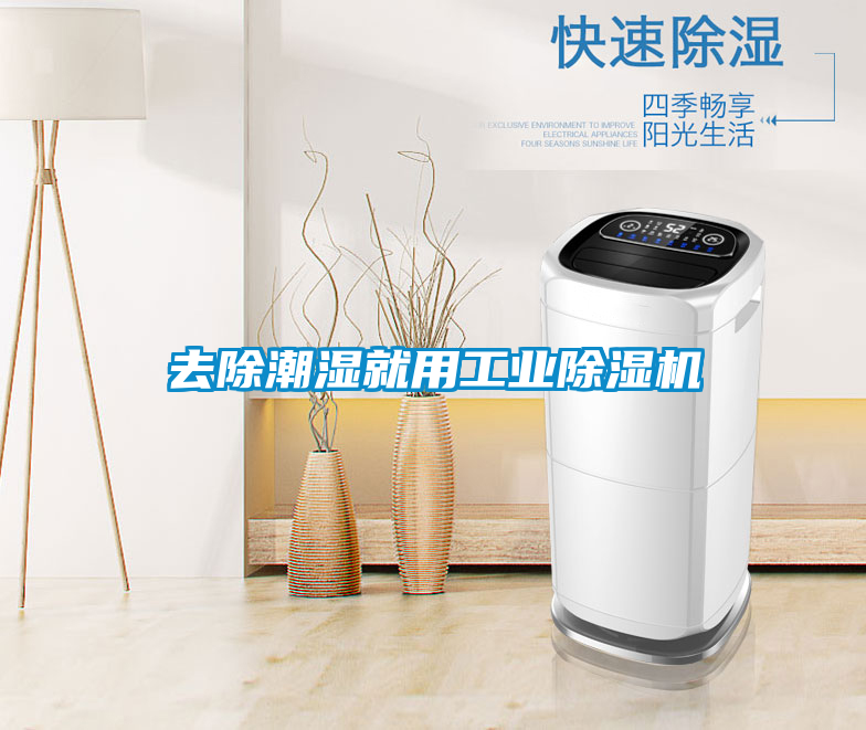 去除潮湿就用星空娱乐彩票是什么网站