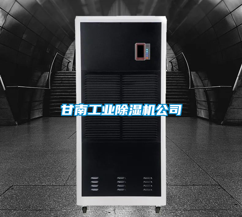 甘南星空娱乐彩票是什么网站公司