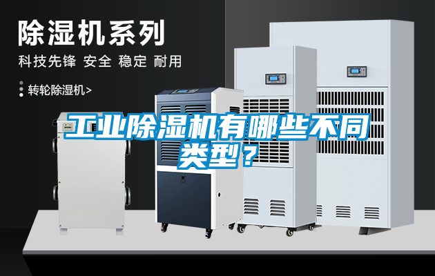 星空娱乐彩票是什么网站有哪些不同类型？