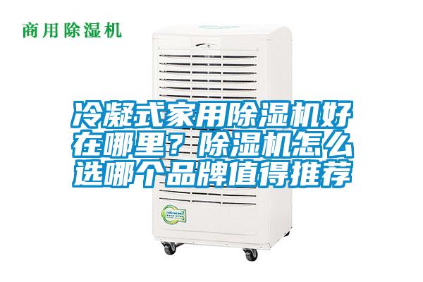 冷凝式星空体育app官网好在哪里？除湿机怎么选哪个品牌值得推荐