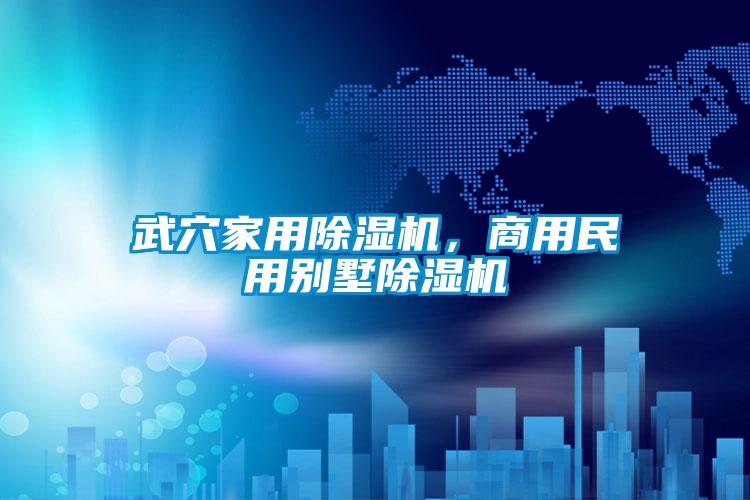 武穴星空体育app官网，商用民用别墅除湿机