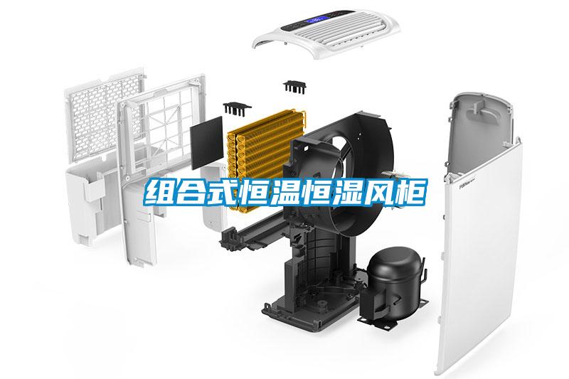 组合式恒温恒湿风柜
