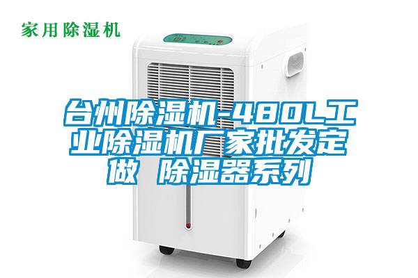 台州除湿机-480L星空娱乐彩票是什么网站厂家批发定做 除湿器系列