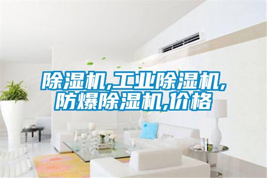 除湿机,星空娱乐彩票是什么网站,防爆除湿机,价格