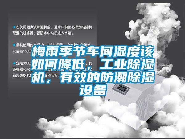 梅雨季节车间湿度该如何降低，星空娱乐彩票是什么网站，有效的防潮除湿设备