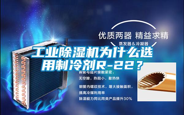 星空娱乐彩票是什么网站为什么选用制冷剂R-22？