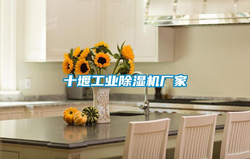 十堰星空娱乐彩票是什么网站厂家