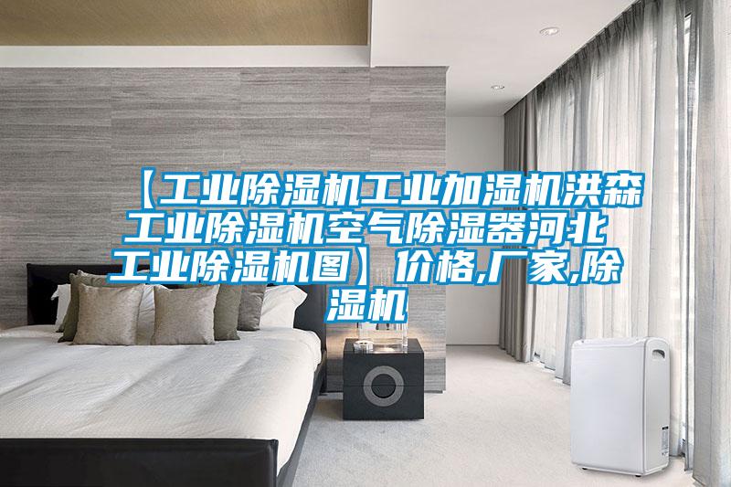 【星空娱乐彩票是什么网站工业加湿机洪森星空娱乐彩票是什么网站空气除湿器河北星空娱乐彩票是什么网站图】价格,厂家,除湿机