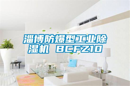 淄博防爆型星空娱乐彩票是什么网站 BCFZ10