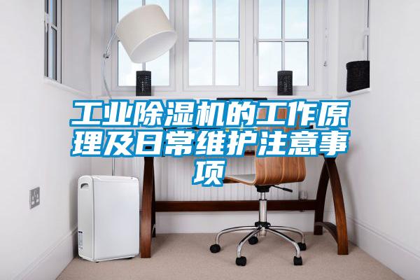 星空娱乐彩票是什么网站的工作原理及日常维护注意事项