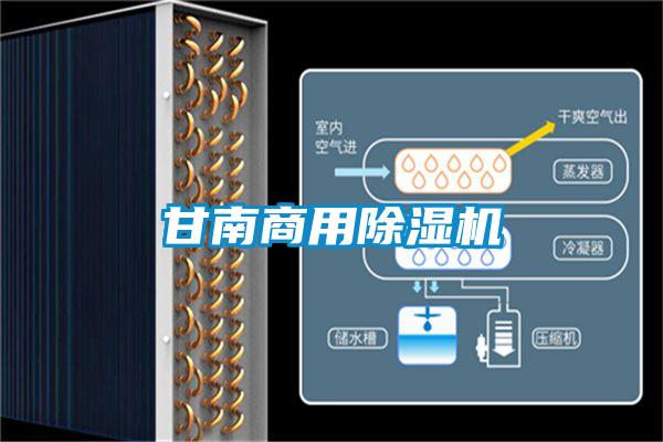 甘南星空app官网下载手机版