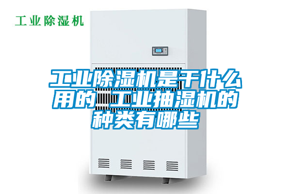 星空娱乐彩票是什么网站是干什么用的 工业抽湿机的种类有哪些