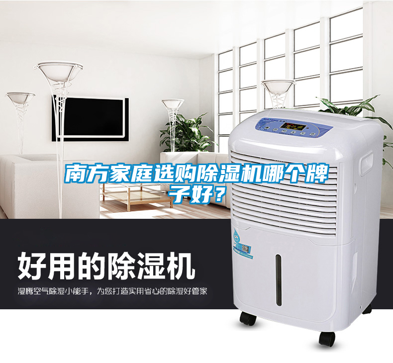 南方家庭选购除湿机哪个牌子好？