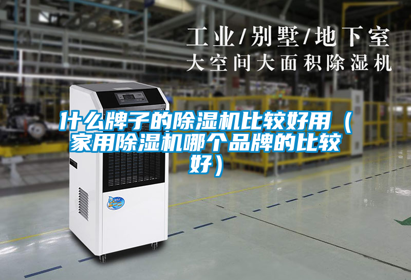 什么牌子的除湿机比较好用（星空体育app官网哪个品牌的比较好）