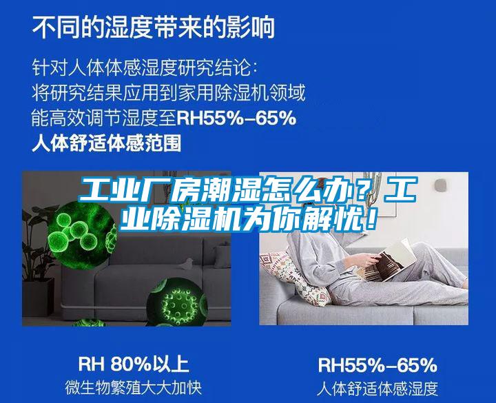 工业厂房潮湿怎么办？星空娱乐彩票是什么网站为你解忧！