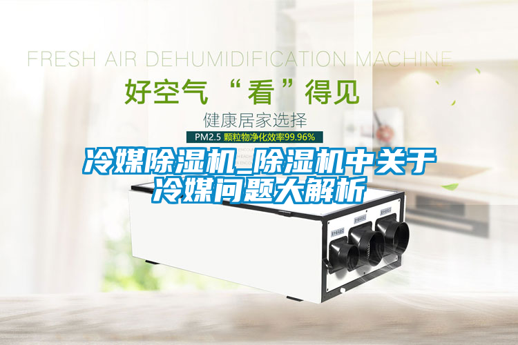 冷媒除湿机_除湿机中关于冷媒问题大解析
