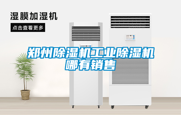 郑州除湿机星空娱乐彩票是什么网站哪有销售