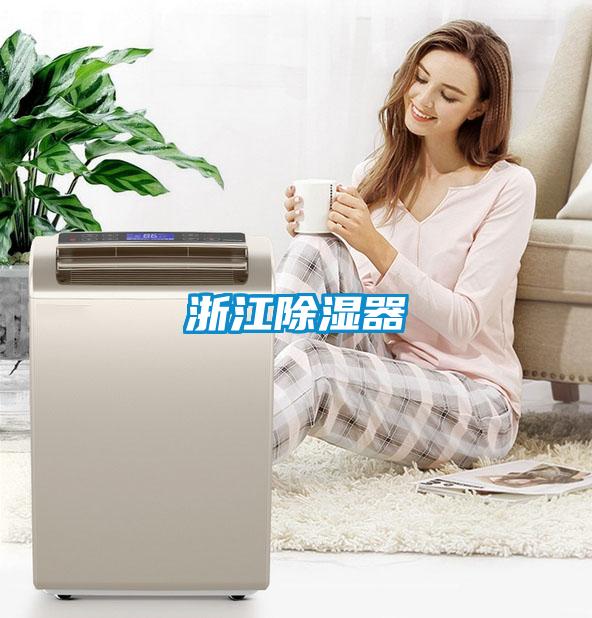 浙江除湿器