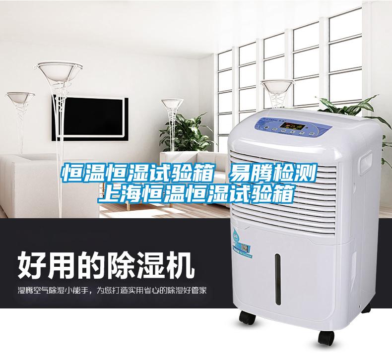 恒温恒湿试验箱 易腾检测 上海恒温恒湿试验箱