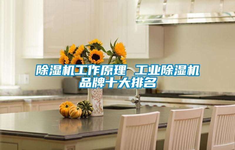 除湿机工作原理 星空娱乐彩票是什么网站品牌十大排名