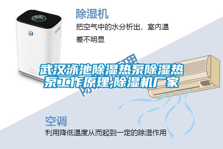 武汉泳池除湿热泵除湿热泵工作原理,除湿机厂家