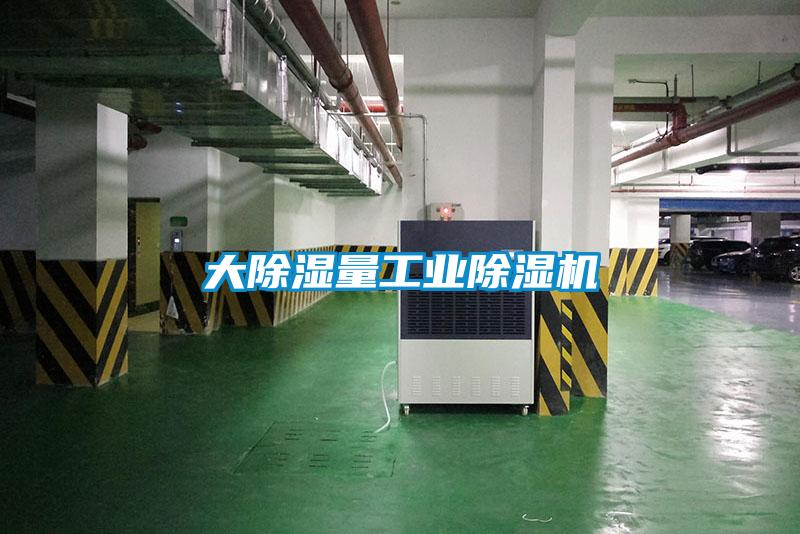 大除湿量星空娱乐彩票是什么网站
