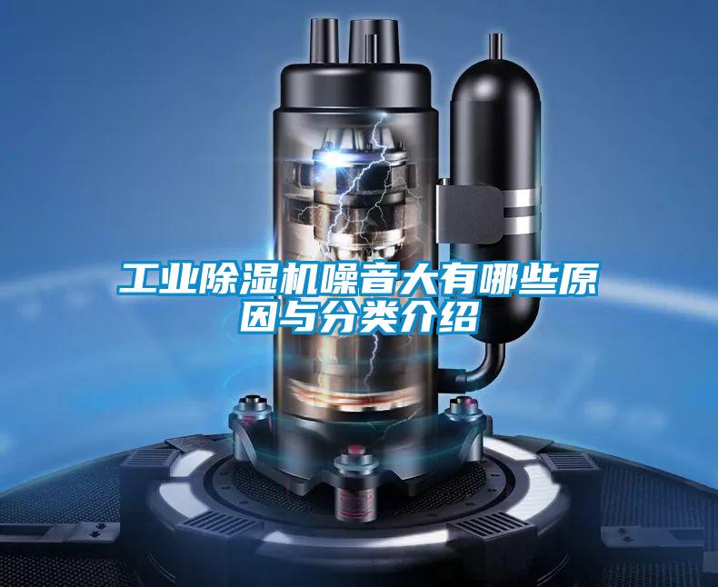 星空娱乐彩票是什么网站噪音大有哪些原因与分类介绍
