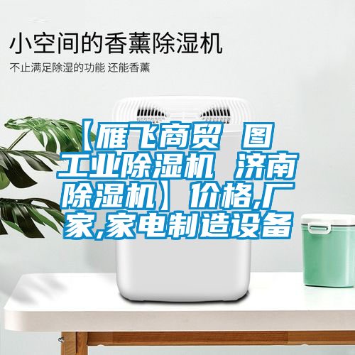 【雁飞商贸 图  星空娱乐彩票是什么网站 济南除湿机】价格,厂家,家电制造设备