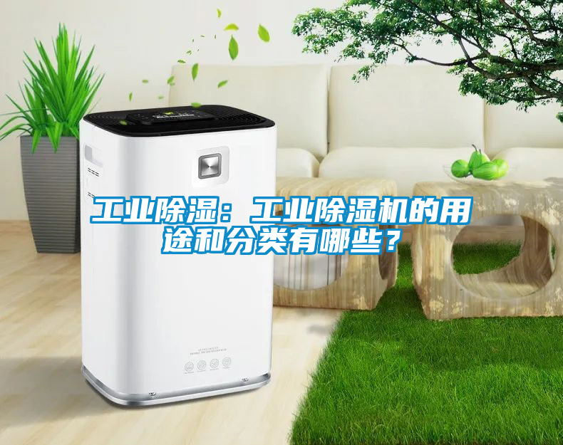 工业除湿：星空娱乐彩票是什么网站的用途和分类有哪些？