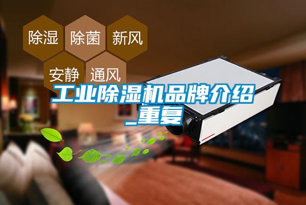 星空娱乐彩票是什么网站品牌介绍_重复