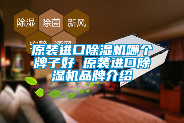 原装进口除湿机哪个牌子好 原装进口除湿机品牌介绍