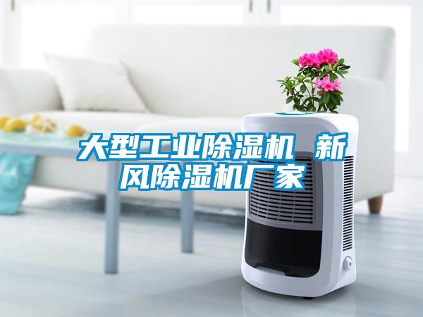 大型星空娱乐彩票是什么网站 新风除湿机厂家