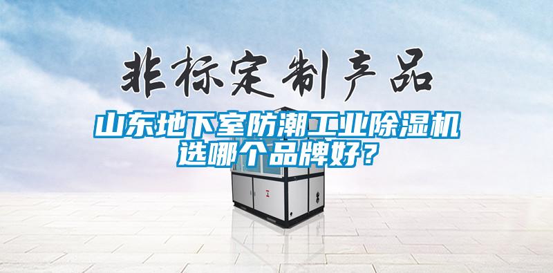 山东地下室防潮星空娱乐彩票是什么网站选哪个品牌好？
