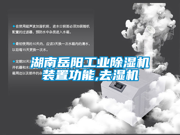 湖南岳阳星空娱乐彩票是什么网站装置功能,去湿机