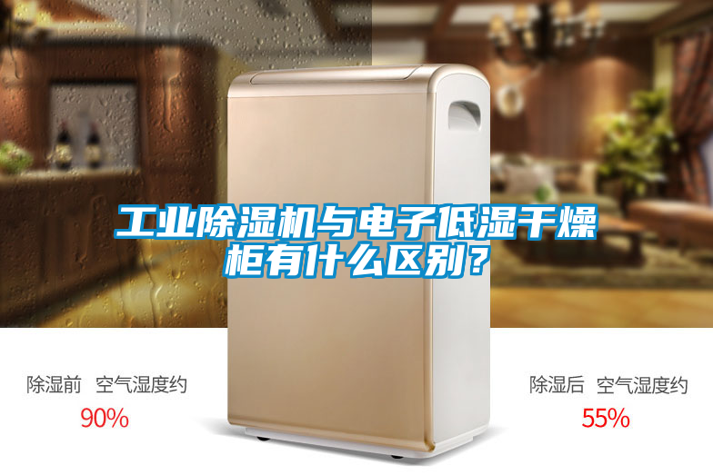 星空娱乐彩票是什么网站与电子低湿干燥柜有什么区别？