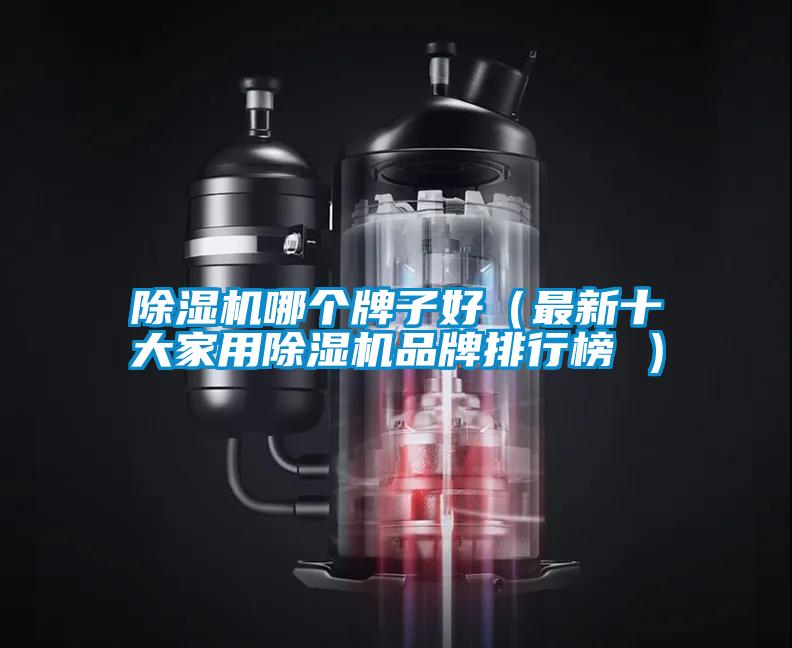除湿机哪个牌子好（最新十大星空体育app官网品牌排行榜 ）
