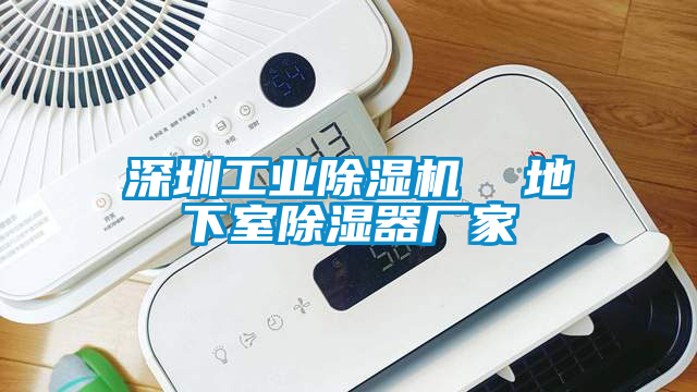 深圳星空娱乐彩票是什么网站  地下室除湿器厂家