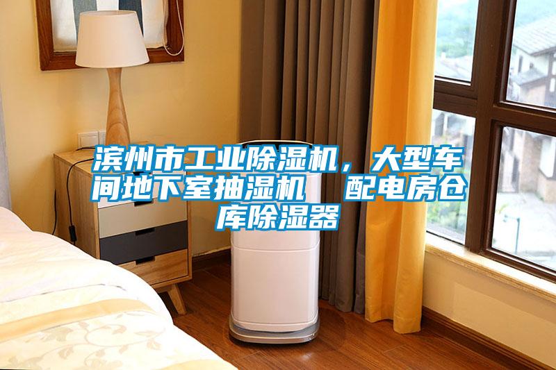 滨州市星空娱乐彩票是什么网站，大型车间地下室抽湿机  配电房仓库除湿器