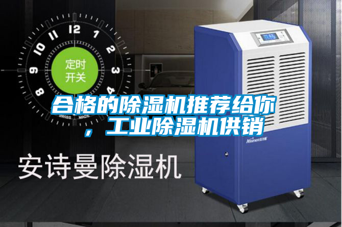 合格的除湿机推荐给你 ，星空娱乐彩票是什么网站供销