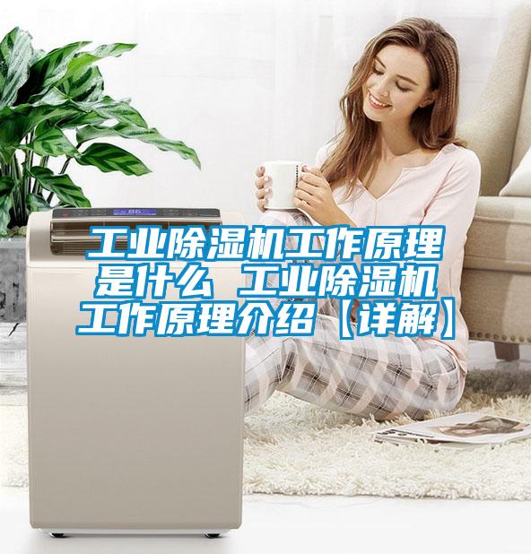 星空娱乐彩票是什么网站工作原理是什么 星空娱乐彩票是什么网站工作原理介绍【详解】