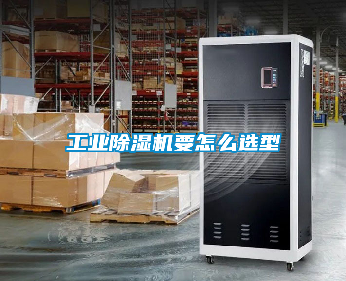 星空娱乐彩票是什么网站要怎么选型