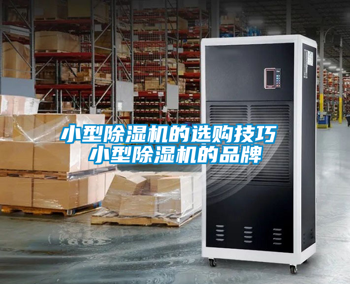 小型除湿机的选购技巧 小型除湿机的品牌