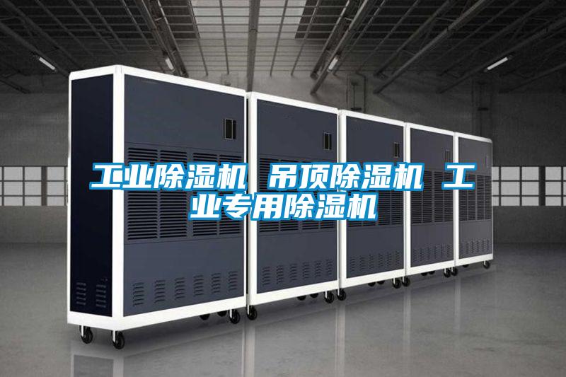 星空娱乐彩票是什么网站 吊顶除湿机 工业专用除湿机