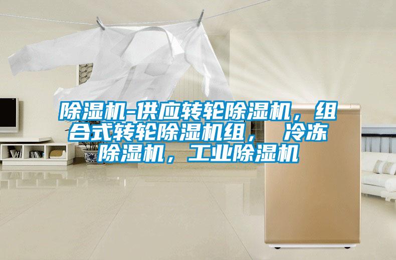 除湿机-供应转轮除湿机，组合式转轮除湿机组， 冷冻除湿机，星空娱乐彩票是什么网站