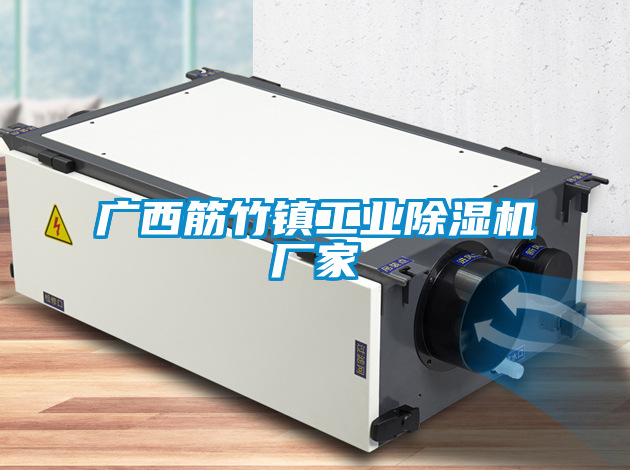 广西筋竹镇星空娱乐彩票是什么网站厂家
