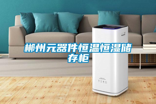 郴州元器件恒温恒湿储存柜