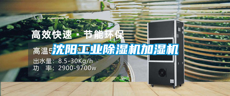 沈阳星空娱乐彩票是什么网站加湿机